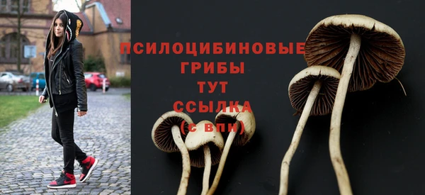 прущие крисы Бородино