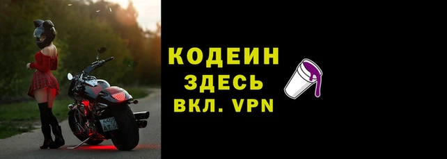 прущие грибы Переславль-Залесский
