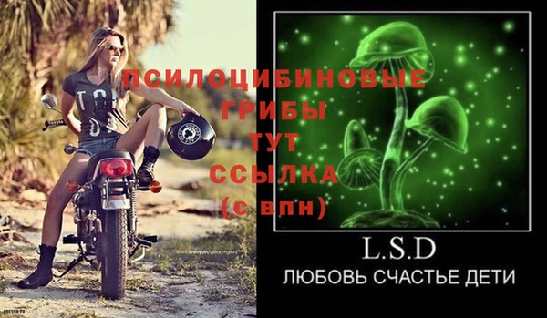 прущие крисы Бородино