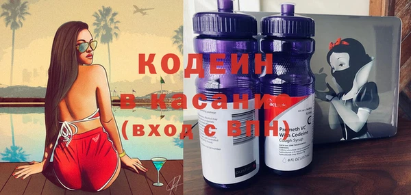 прущие крисы Бородино