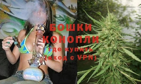 молекула духа Бронницы