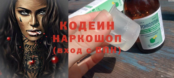молекула духа Бронницы