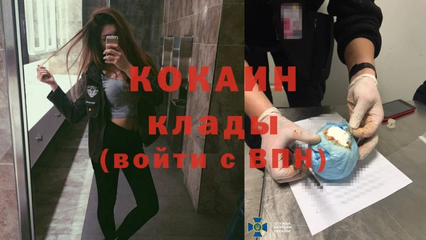 прущие крисы Бородино