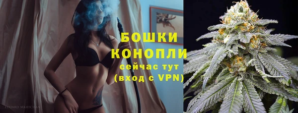 молекула духа Бронницы
