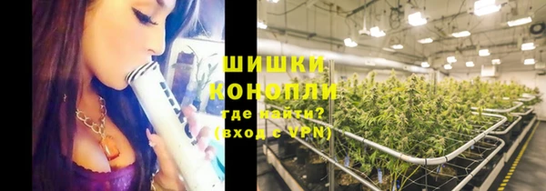 молекула духа Бронницы