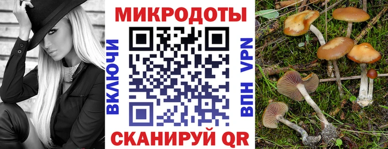 Псилоцибиновые грибы MAGIC MUSHROOMS  мориарти официальный сайт  Гусиноозёрск  блэк спрут маркетплейс 